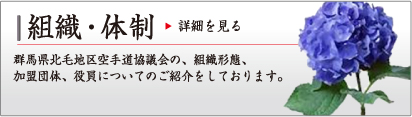 組織・体制
群馬県北毛地区空手道協議会の、組織形態、加盟団体、役員についてのご紹介をしております。